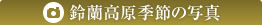 鈴蘭高原 季節の写真
